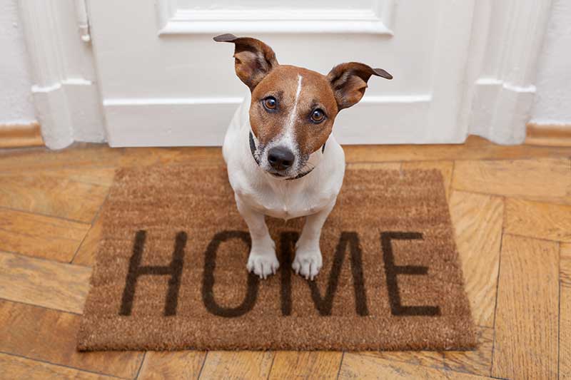 Household Manners