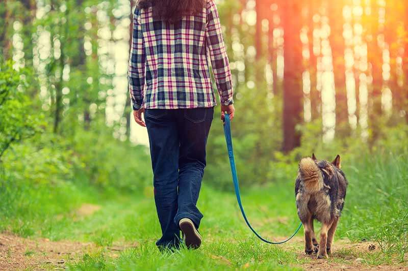 Loose Leash Walking