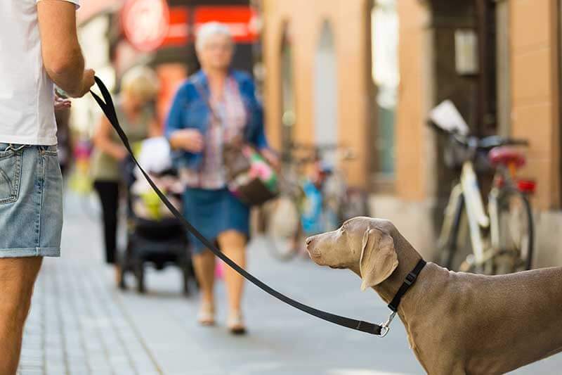 Public Manners