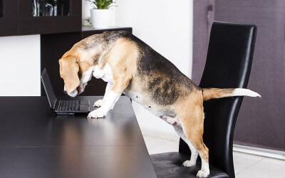 A new website, and that’s not even the best part!