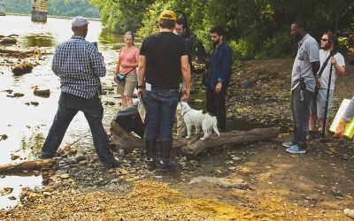 Can TCOTC Make Your Dog a Star?