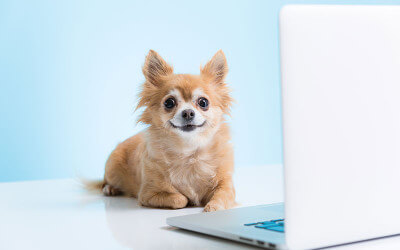 Want to Earn Free Classes?