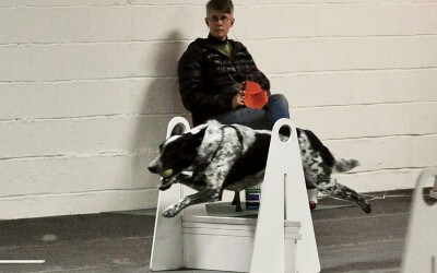 NEW FLYBALL CLASSES!