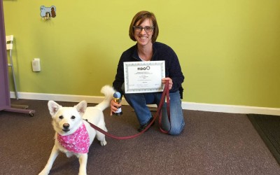 A Message from Anne Schenk