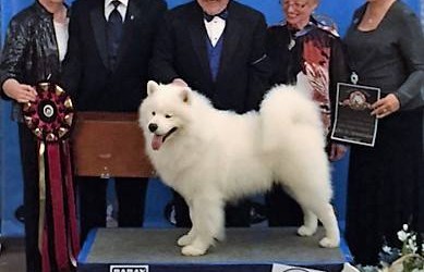 A Spotlight on Conformation Classes