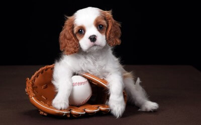 It’s spring training season!