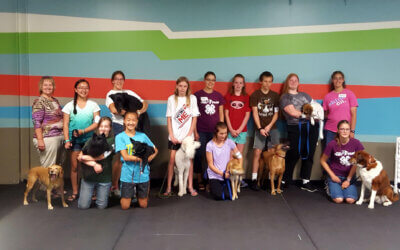 Youths learn positive training through 4-H