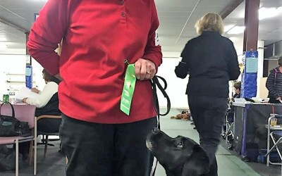 Staff Profile: Jane Jacobson