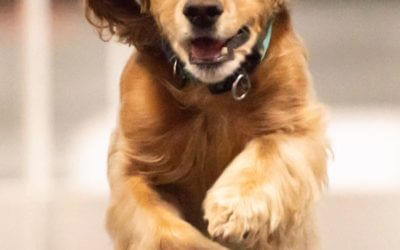 Flying High and Having Fun at TCOTC