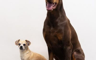 At TCOTC, diversity truly is our strength