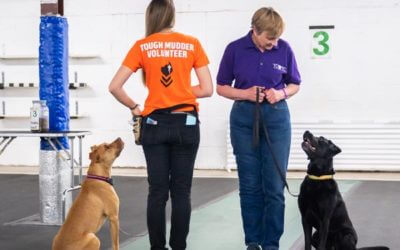 Playing it safe, in the ring and out