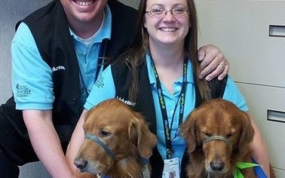 Chad and Gopher: A higher calling