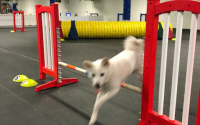 Open Ring Time Returns