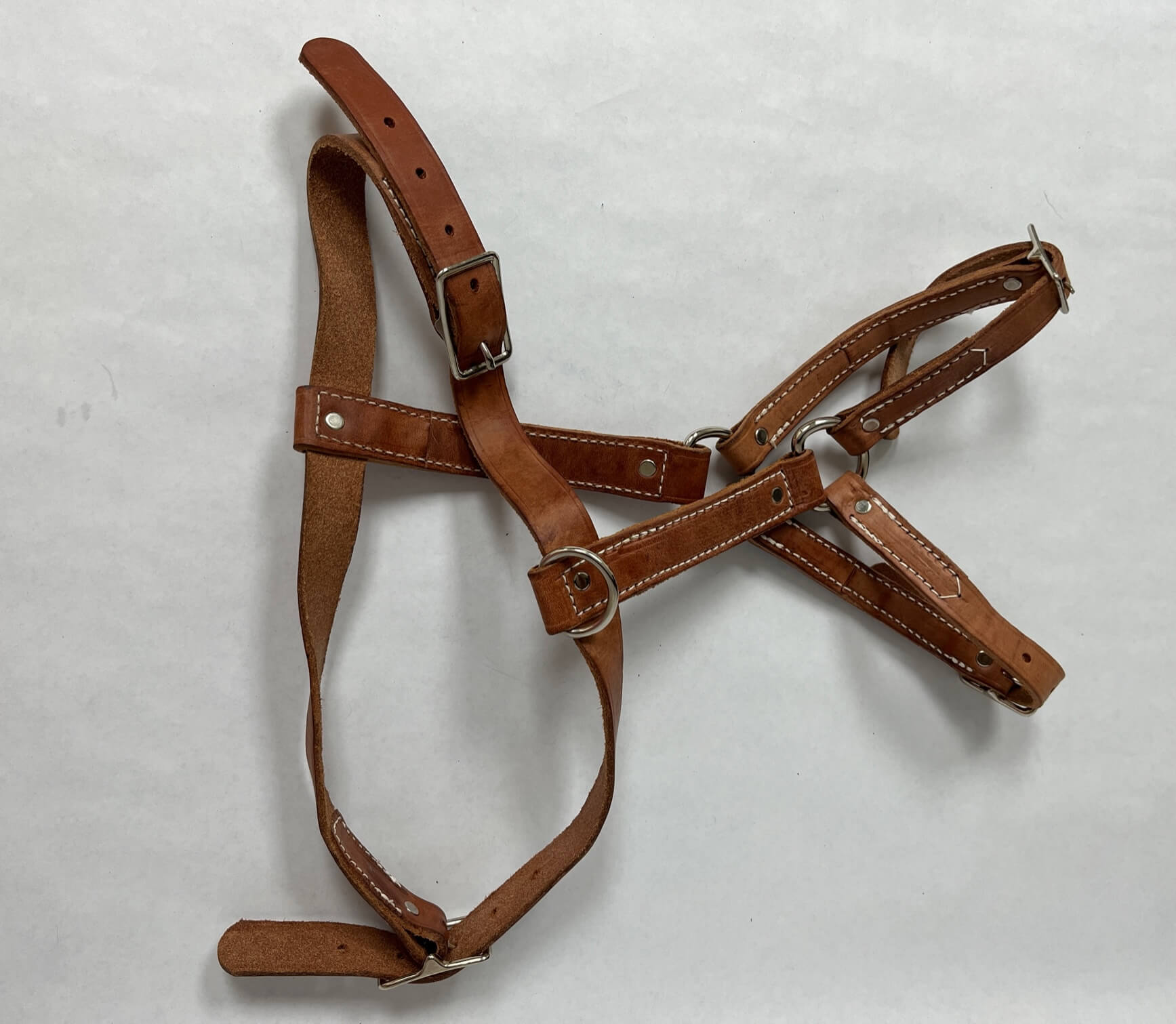 leather harness