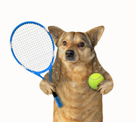 Canine Good Citizen