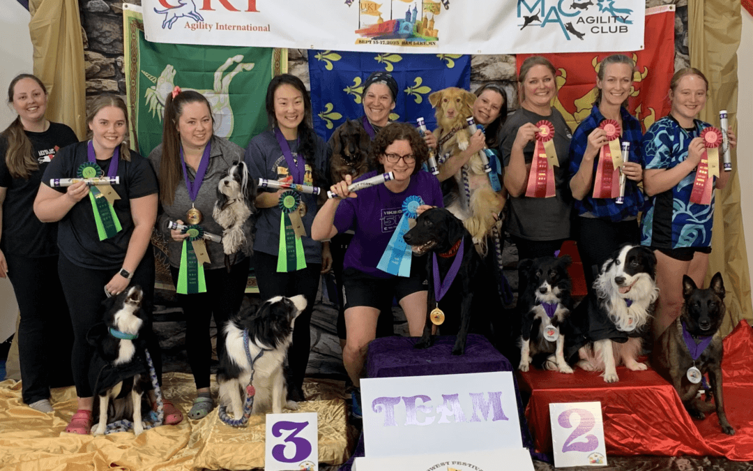 TCOTC Agility Instructors Perform Well at UKI Midwest Festival