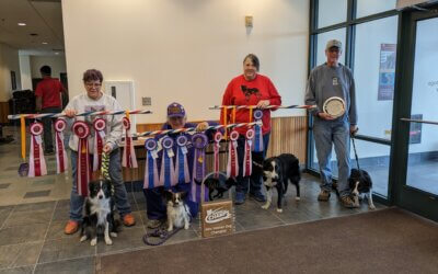 TCOTC Members Raise the Bar at NADAC Championships